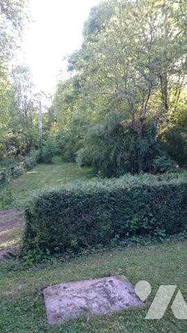 vend maison cadre verdoyant à rénover 5 pcs 1087m2 terrain photo 5
